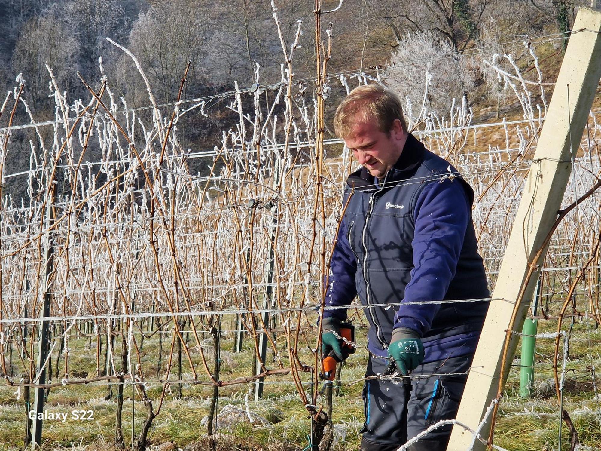 Rooms & Wine Lilek Sentilj Eksteriør bilde